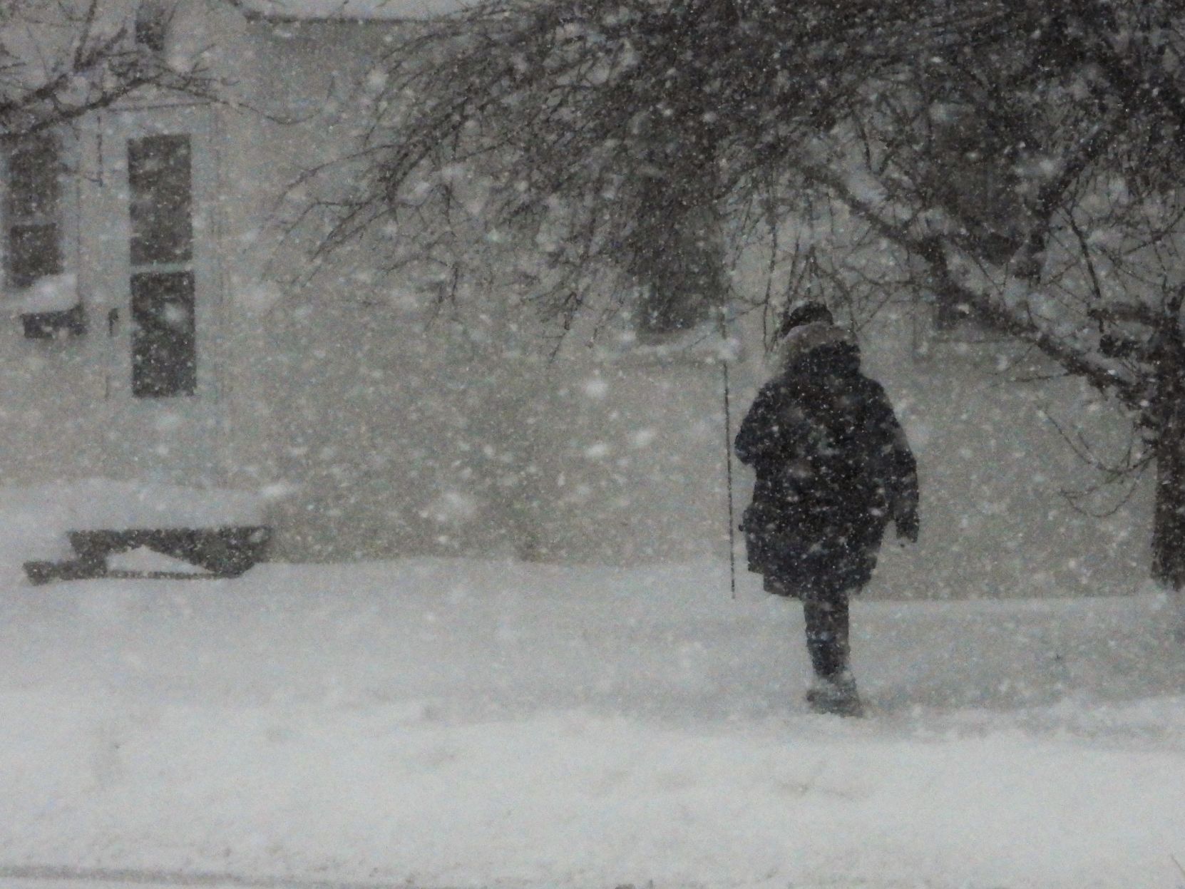Black Hills Blizzard